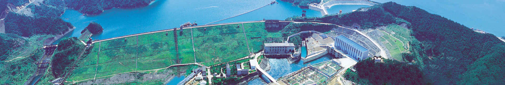 國(guó)內(nèi)市場(chǎng)